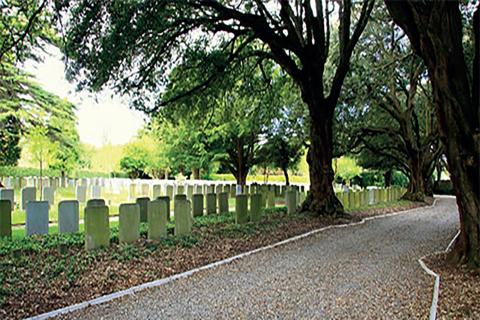 Free Guided Walks around Temple Hill Burial Ground – Tuesdays in July & August